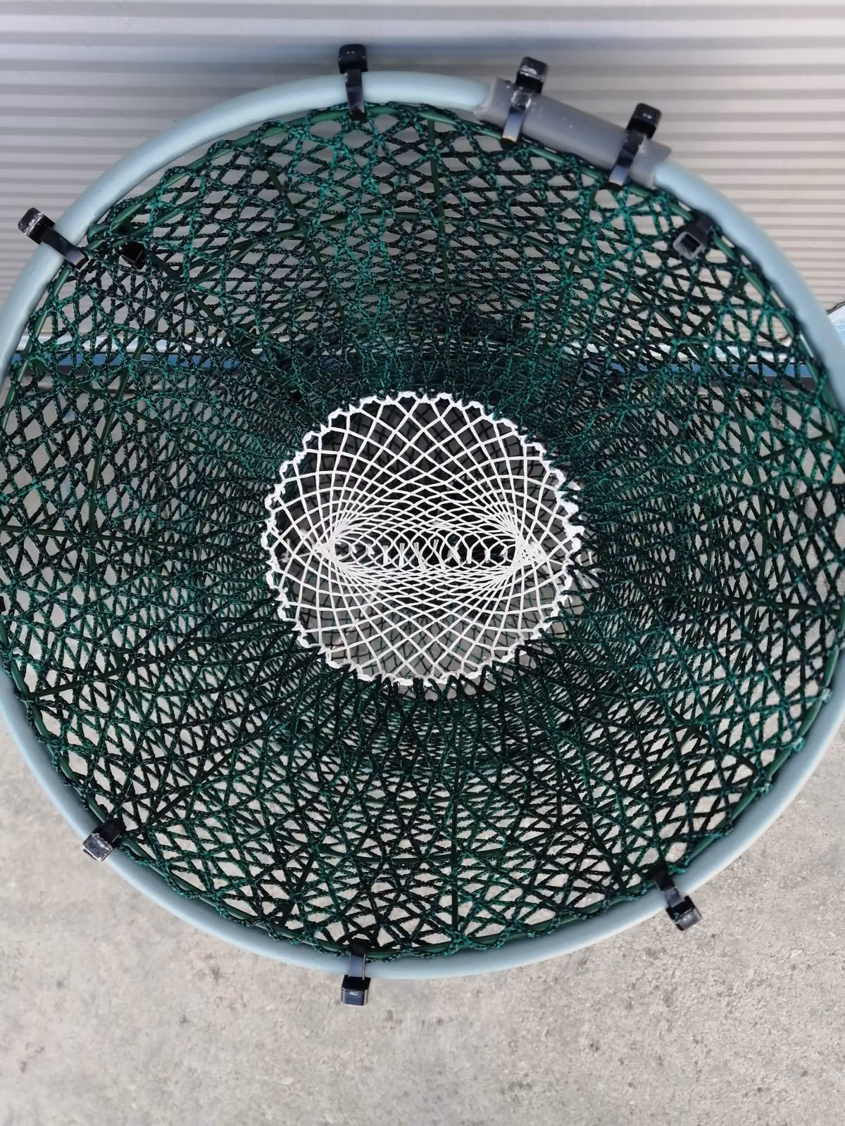 Nassa da polpo rinforzata F.lli Caputo, diametro 25 e 30 cm