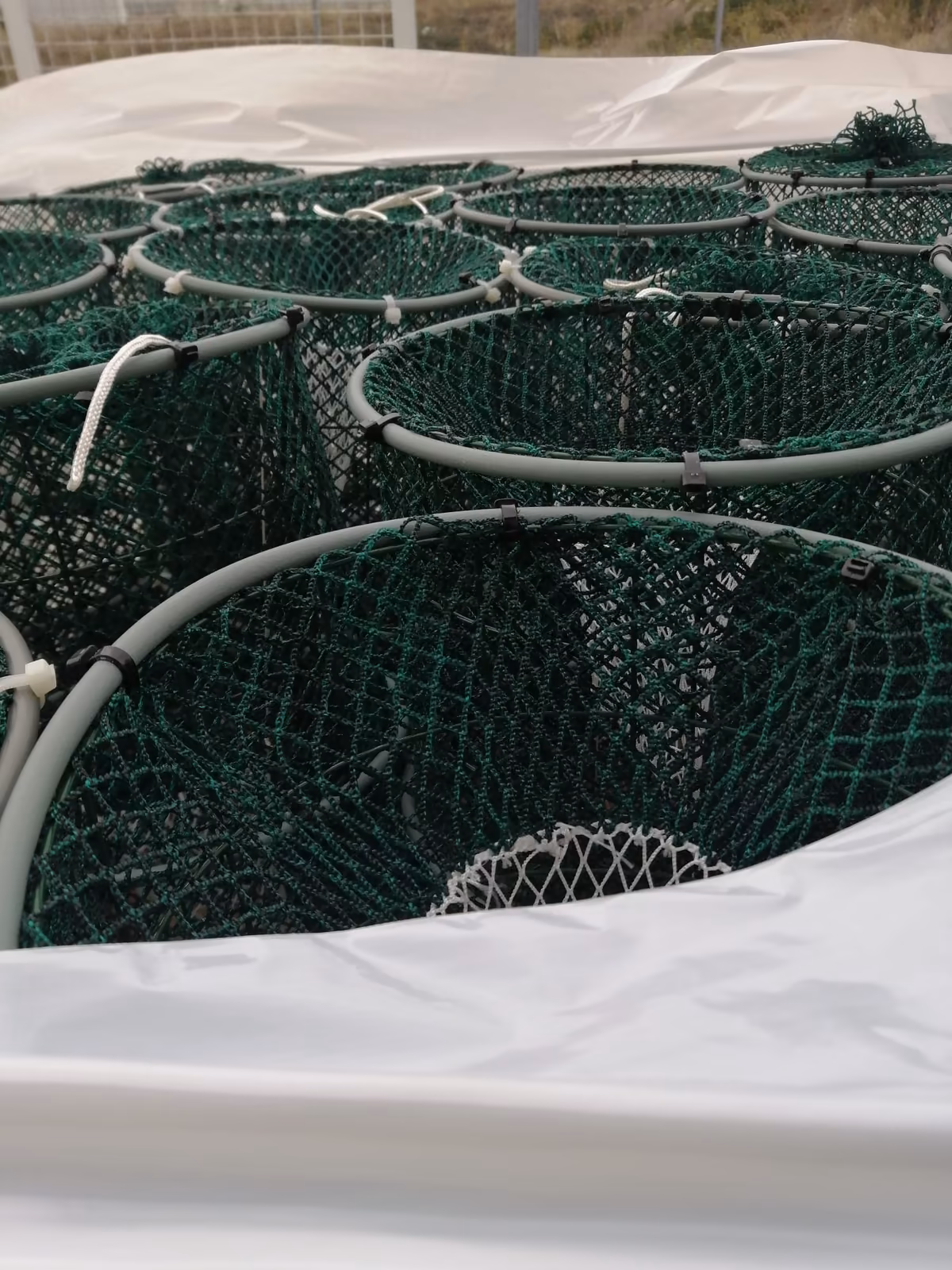 Dettaglio dell’inganno e delle giunzioni con fascette