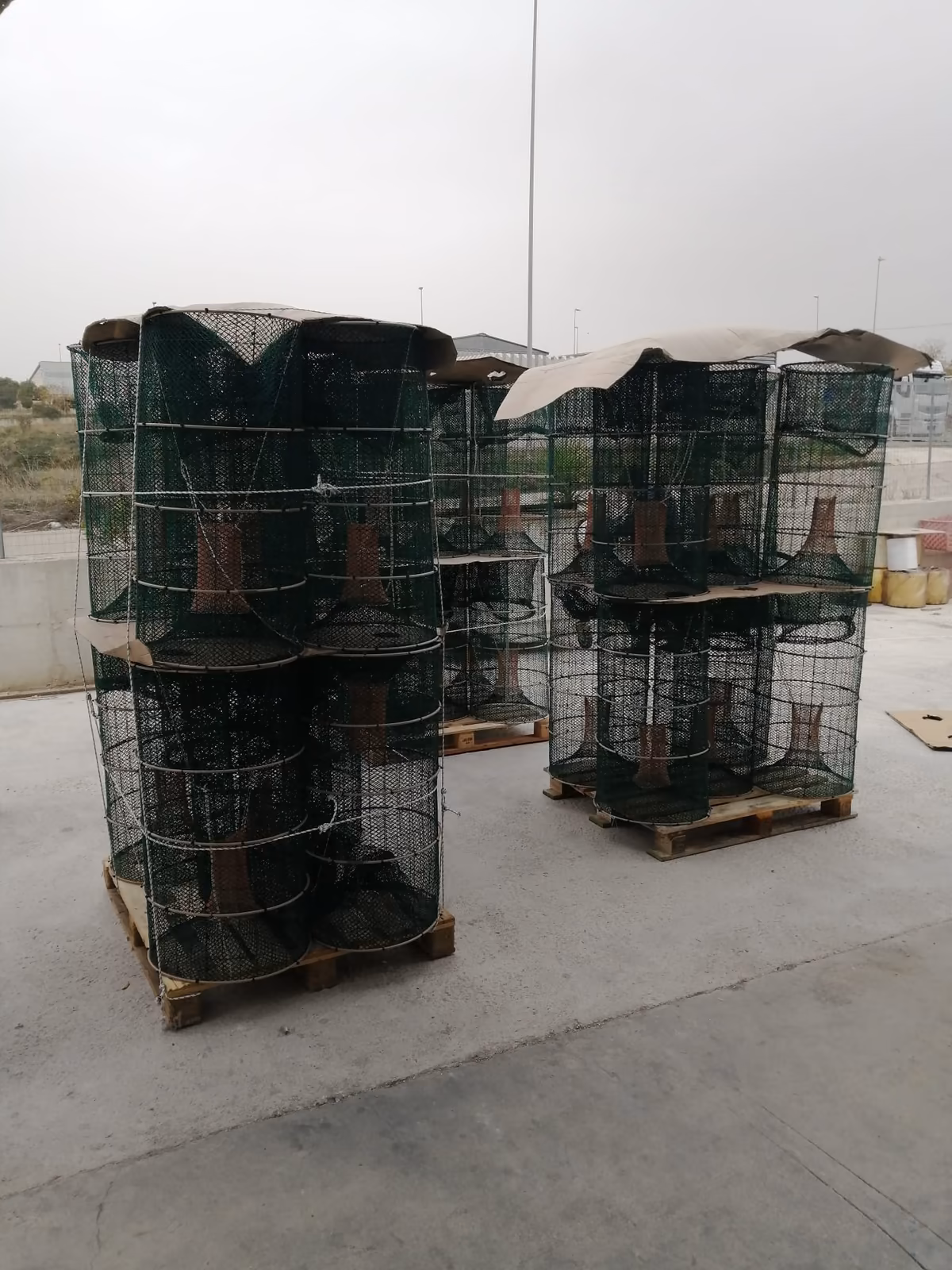 Nassoni rinforzati su pallet, pronti per la spedizione — F.lli Caputo