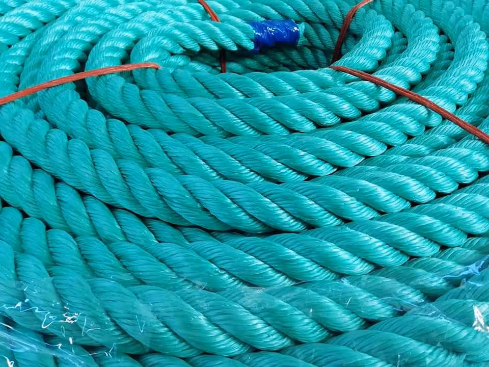 Il nostro lavoro in sede